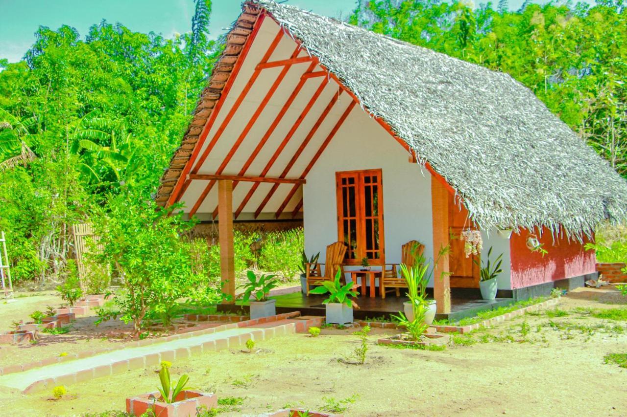 Sigiri Enaya Cottage Σιγκιρίγια Εξωτερικό φωτογραφία